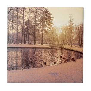 Sunset over park with small frosty lake tile