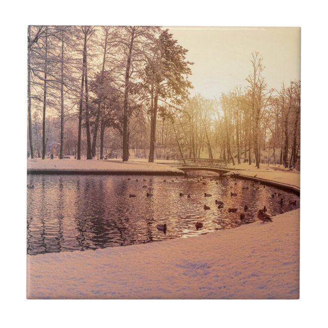 Sunset over park with small frosty lake tile (Front)