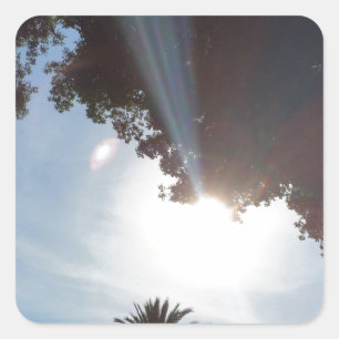 sunset over parkland square sticker