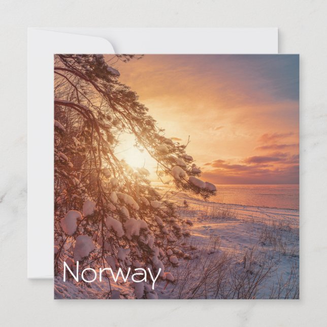 Sunset over sea and snowy pine tree (Front)
