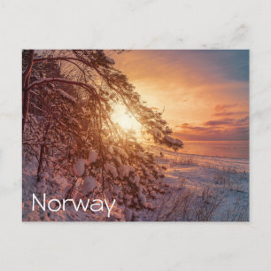 Sunset over sea and snowy pine tree postcard