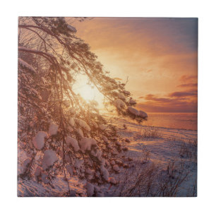 Sunset over sea and snowy pine tree tile