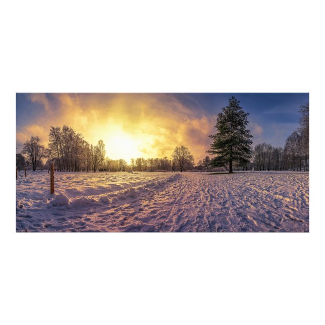 Sunset over snowy winter park photo print (Front)