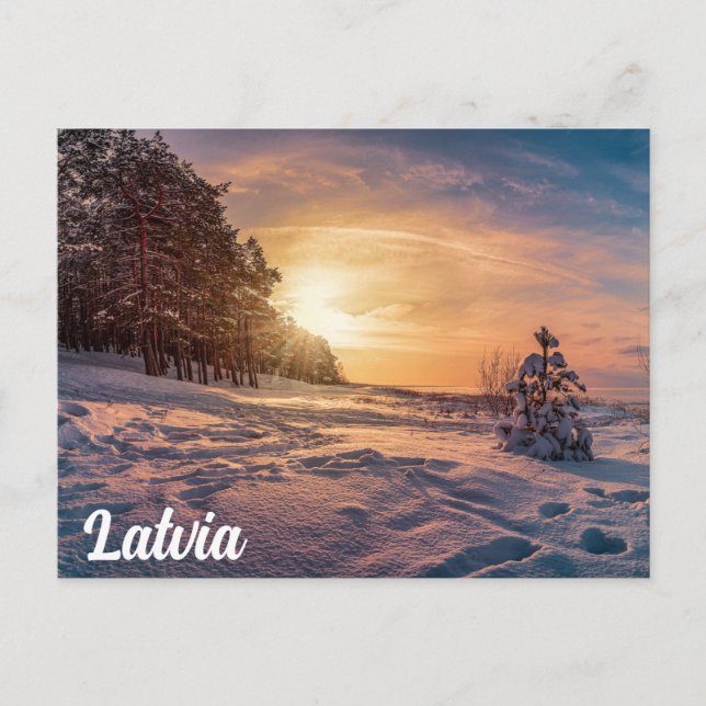 Sunset over snowy winter seacoast postcard (Front)