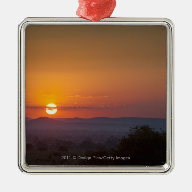 Sunset Over The African Landscape Metal Tree Decoration (Front)