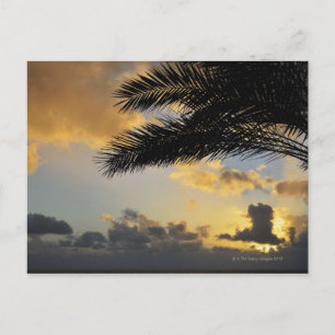 Sunset Over the Atlantic Ocean, Madeira, Postcard