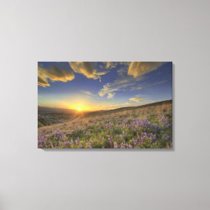 Sunset over the Bitterroot Mountains and vast Canvas Print