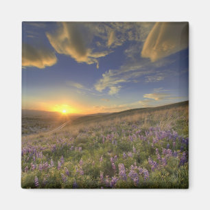 Sunset over the Bitterroot Mountains and vast Magnet