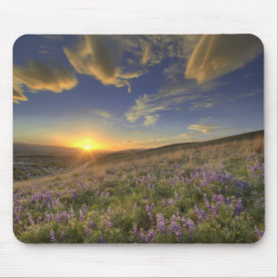 Sunset over the Bitterroot Mountains and vast Mouse Mat