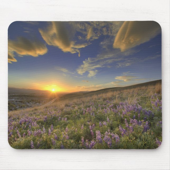 Sunset over the Bitterroot Mountains and vast Mouse Mat (Front)