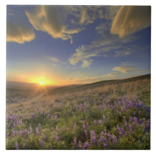 Sunset over the Bitterroot Mountains and vast Tile