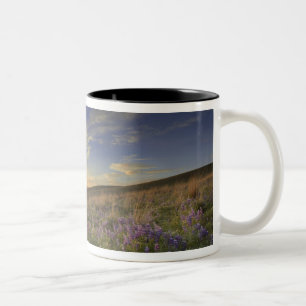Sunset over the Bitterroot Mountains and vast Two-Tone Coffee Mug