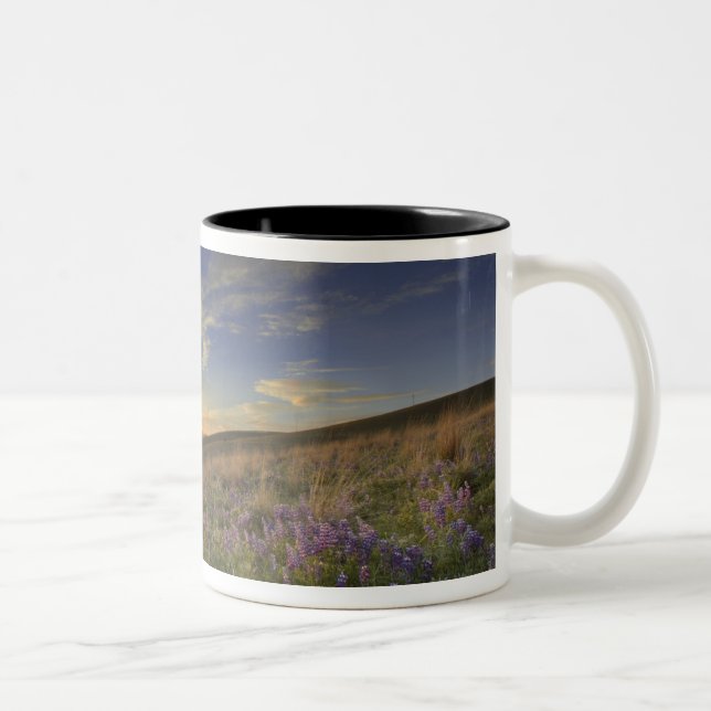 Sunset over the Bitterroot Mountains and vast Two-Tone Coffee Mug (Right)