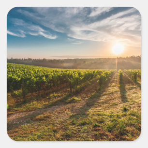 Sunset over the Farm Sticker