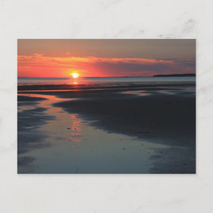 Sunset over the Flats, Wellfleet Bay Wildlife Postcard