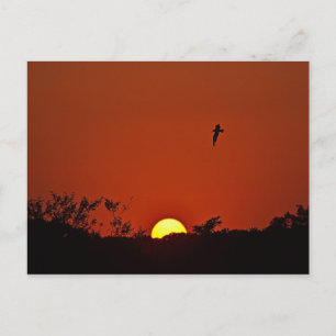 Sunset Over The Marsh Postcard