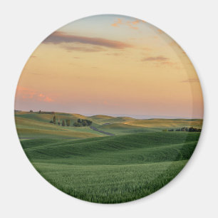 Sunset over Wheat Fields   Washington State Magnet