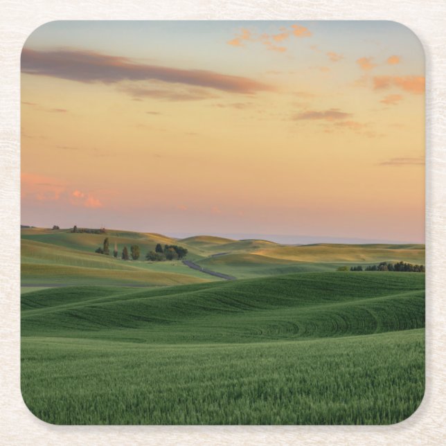 Sunset over Wheat Fields | Washington State Square Paper Coaster (Front)