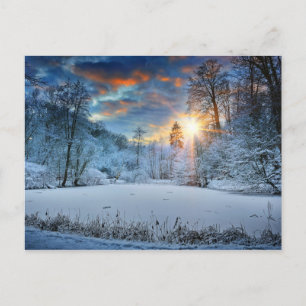 Sunset Over Winter Forest Lake Postcard