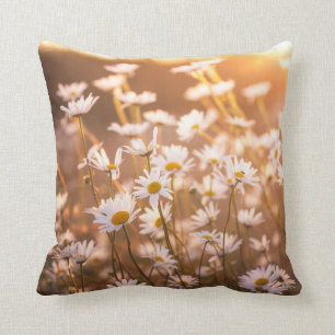 Sunset Oxeye Daisies Cushion