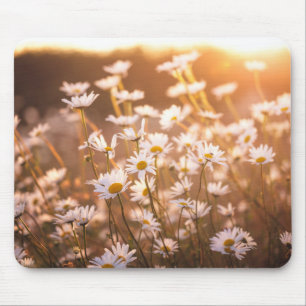 Sunset Oxeye Daisies Mouse Mat