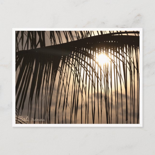 Sunset Palm Leaf, Bali Indonesia - Travel Postcard (Front)