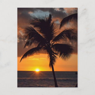 Sunset, Palm Trees, and the Beach Postcard