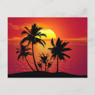 Sunset Palm Trees Silhouette-16514 Postcard