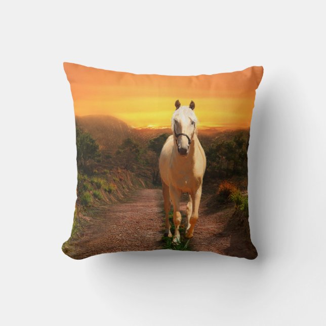Sunset palomino cushion (Front)