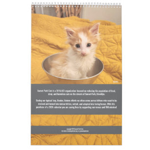 Sunset Park Cats 2026 Calendar Kittens