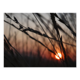 Sunset Photo Kodak Professional Photo Print