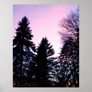 Sunset pinks purple sunsets poster