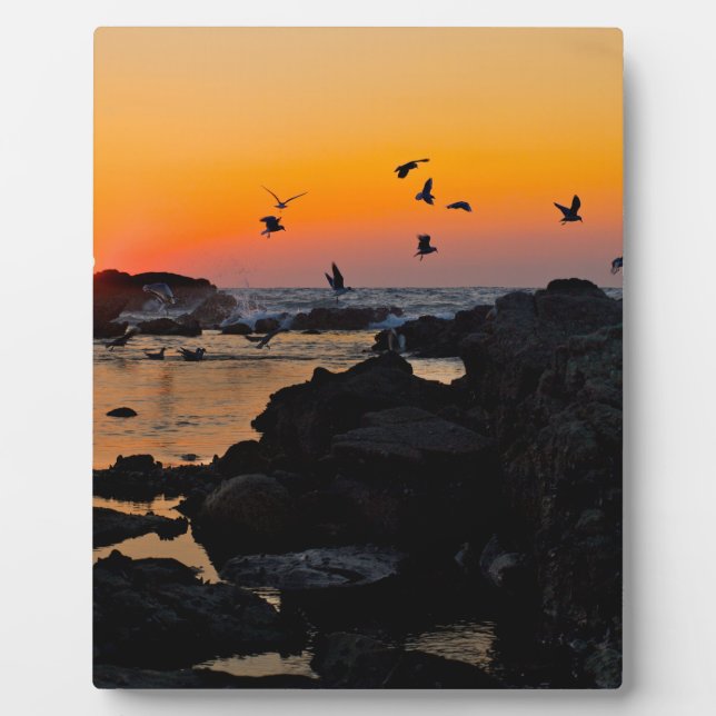 Sunset  plaque (Front)