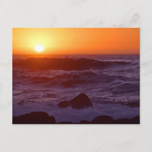 sunset Post card