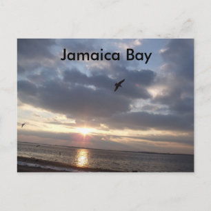 Sunset Postcard