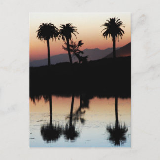 Sunset Postcard