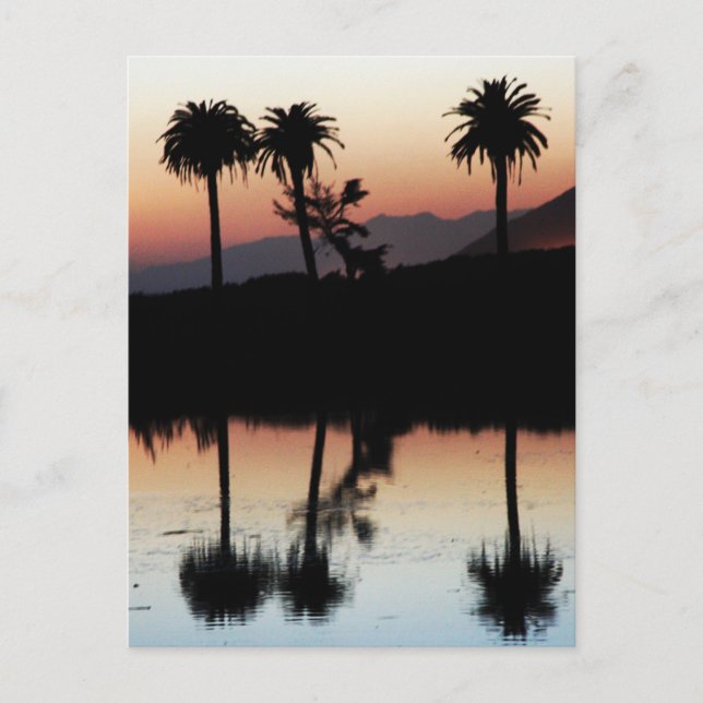 Sunset Postcard (Front)