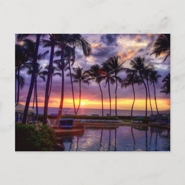 Sunset postcard (Front)