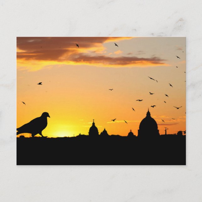 Sunset Postcard (Front)