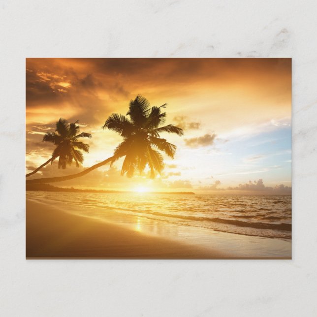 Sunset Postcard (Front)