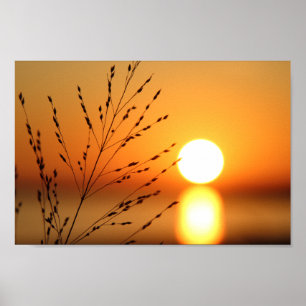 Sunset Poster