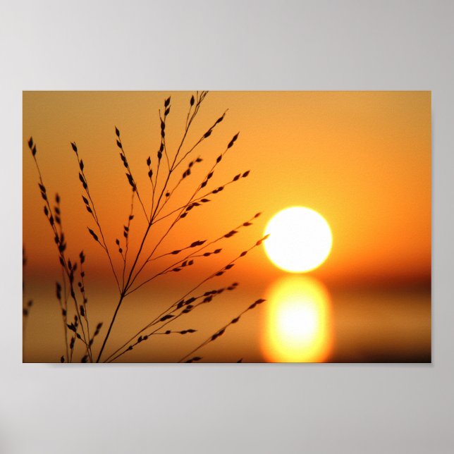 Sunset Poster (Front)