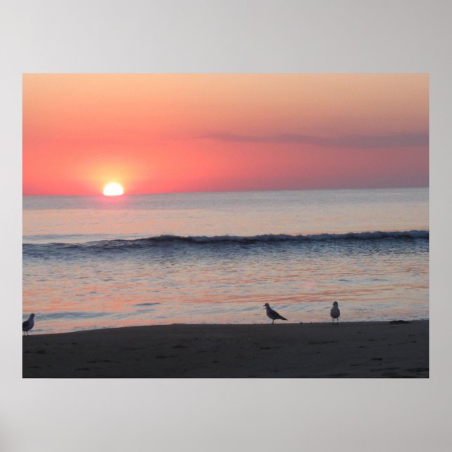 Sunset,  poster (Front)