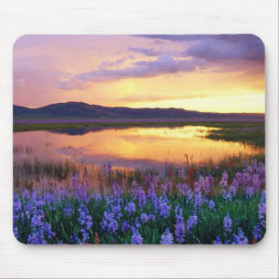 Sunset Prairie Scene Mouse Pad