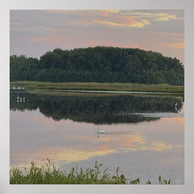 Sunset Reflections Waterscape Poster (Front)