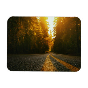 Sunset Road Magnet