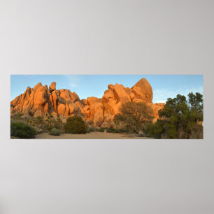 Sunset Rocks at Joshua Tree Poster