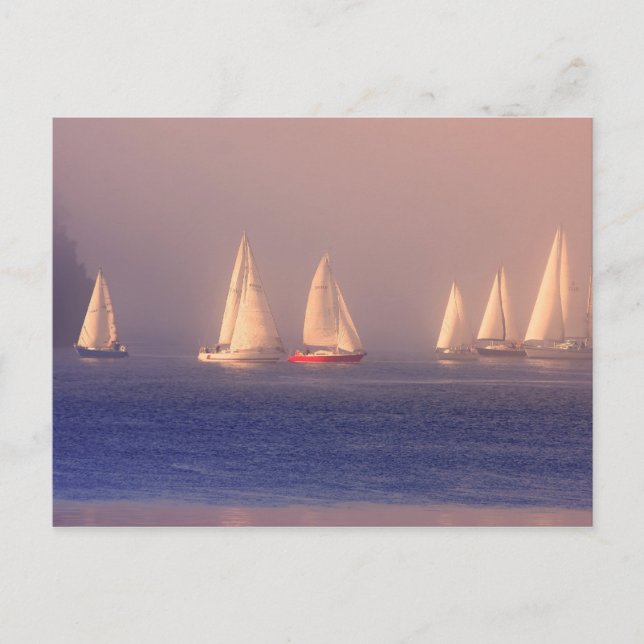 Sunset Sailboats Photo Postcard (Front)