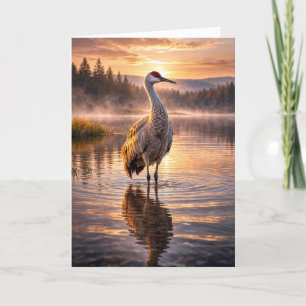 Sunset Sandhill Crane Reflective Water Scene Card