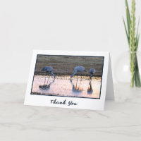 Sunset Sandhill Cranes Photo Thank You Cards
